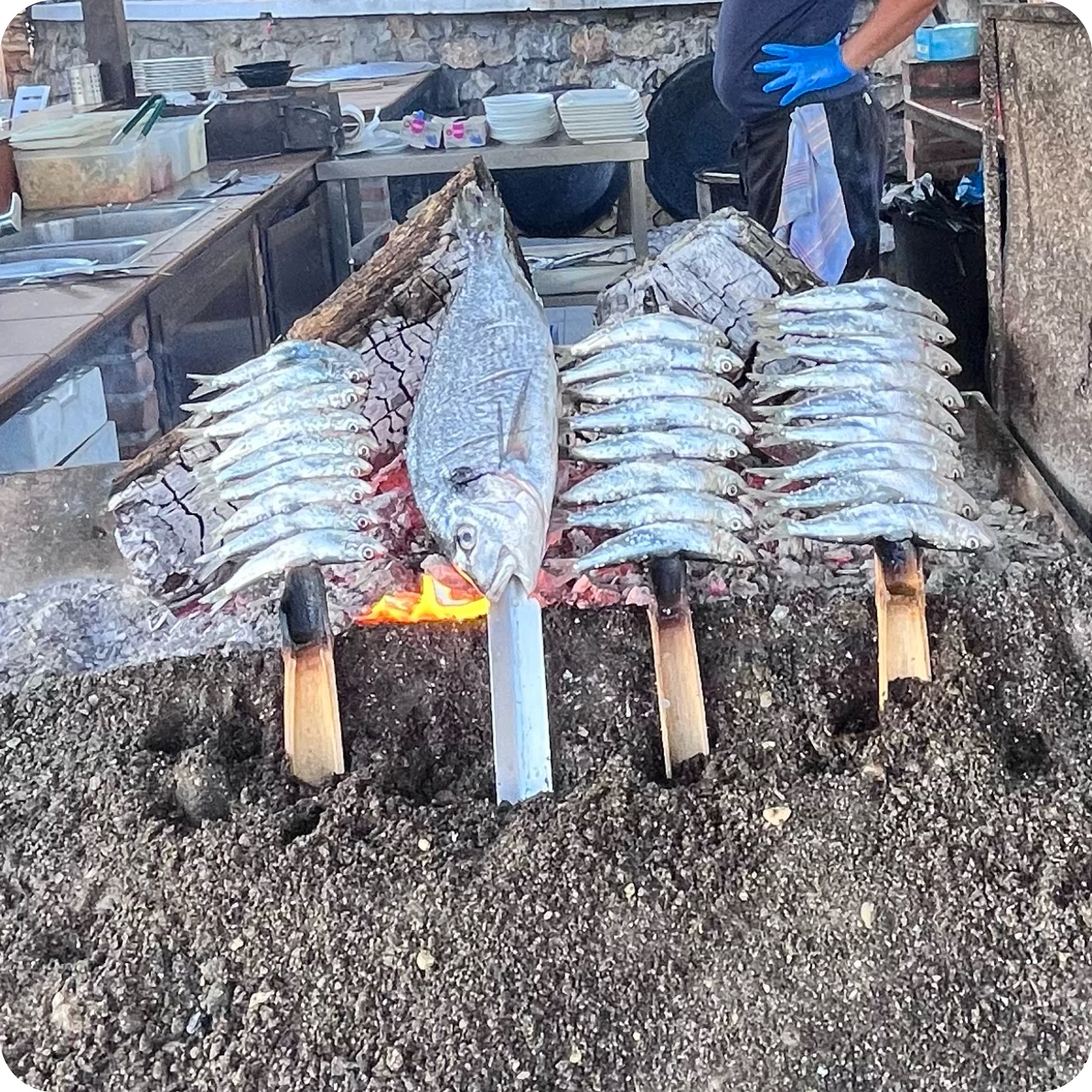 Espetos de Sardinas Espetos de Sardinas