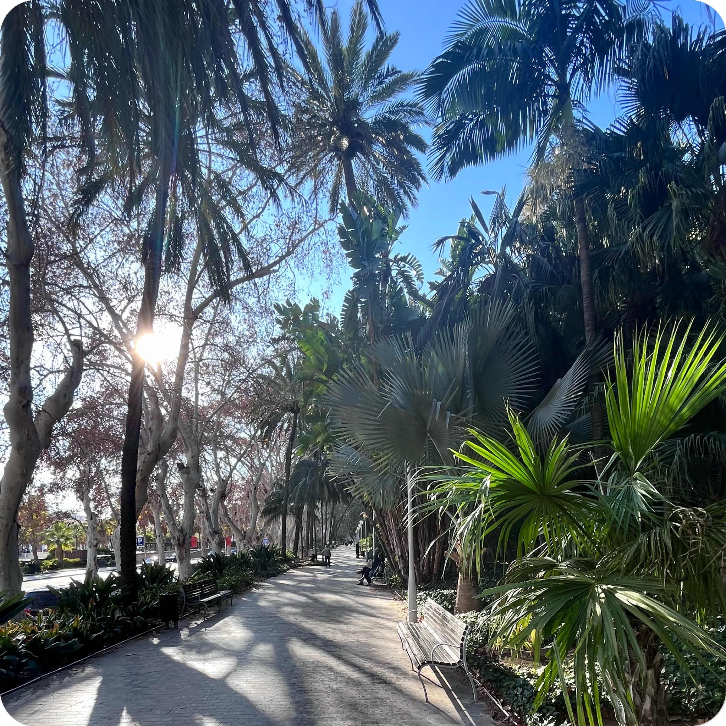 Malaga Park Malaga Park