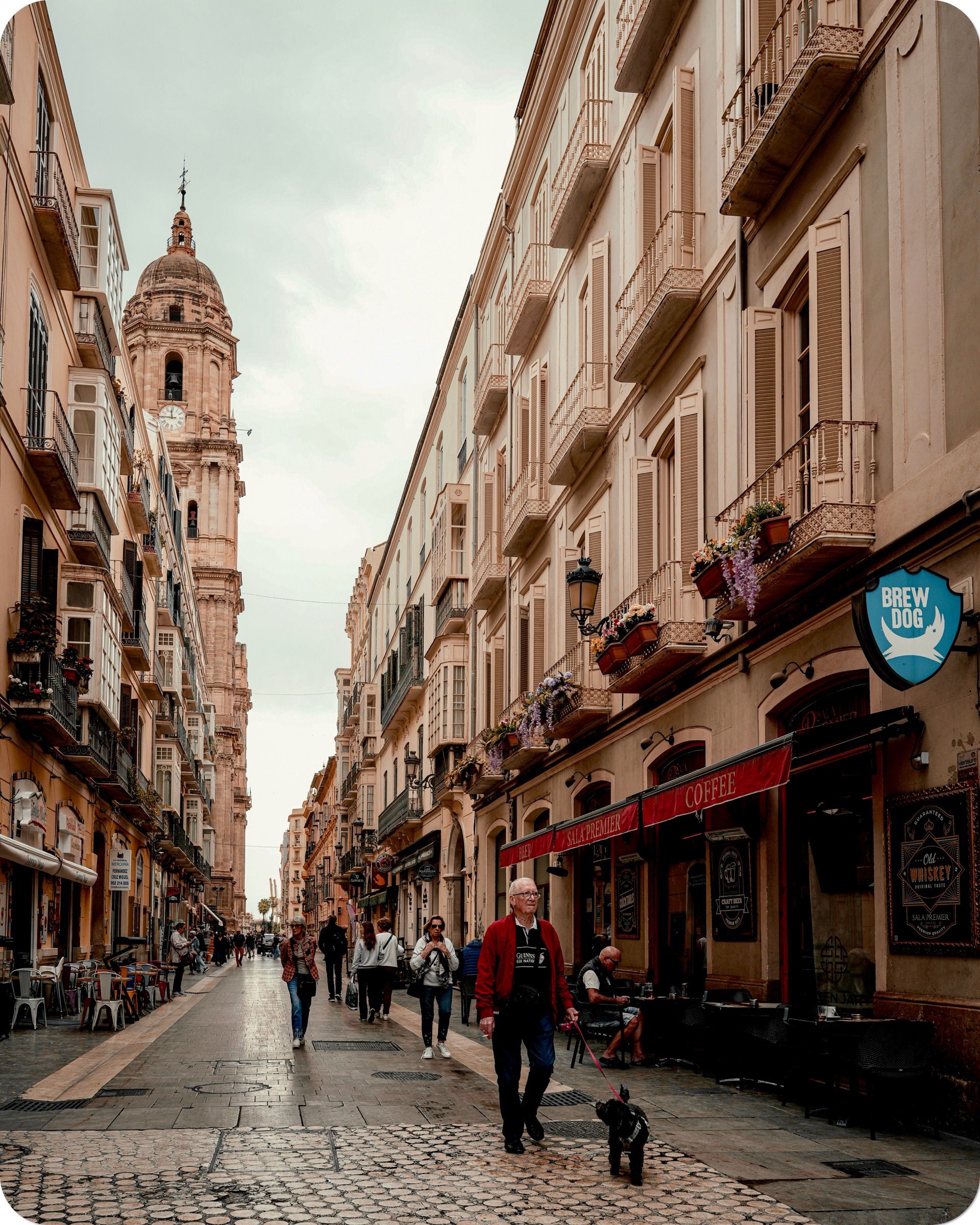 What To Do In Malaga - Top Activities and Sights What To Do In Malaga - Top Activities and Sights